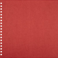 Spiralalbum Strukturpapier Rot 26 x 26, 25 c.B.